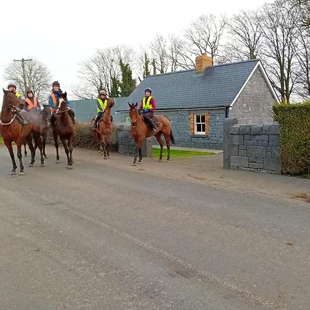 Fenniscourt Cottage Carlow Exterior photo